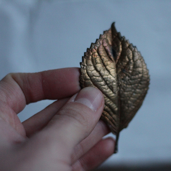 Bronze hydrangea leaf